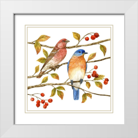 Birds and Berries IV White Modern Wood Framed Art Print with Double Matting by Maday, Jane