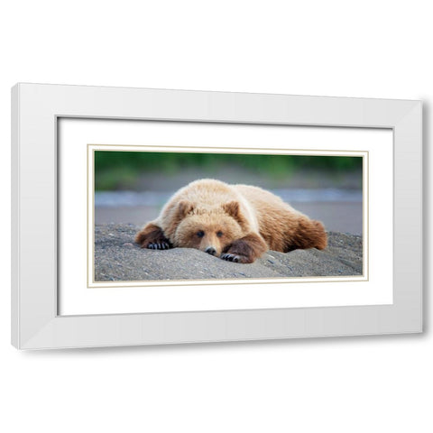 Custom Bear Life X White Modern Wood Framed Art Print with Double Matting by PHBurchettÂ 
