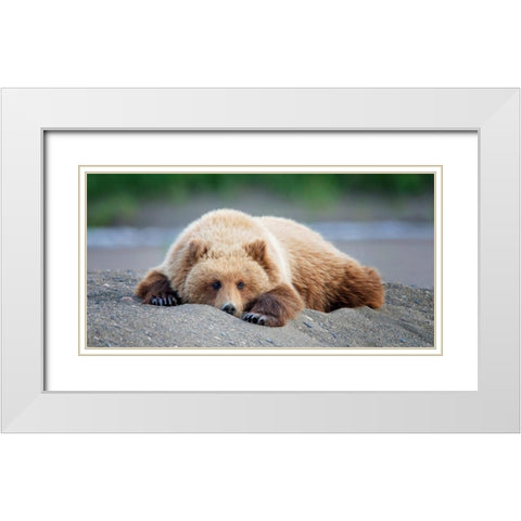 Custom Bear Life X White Modern Wood Framed Art Print with Double Matting by PHBurchettÂ 