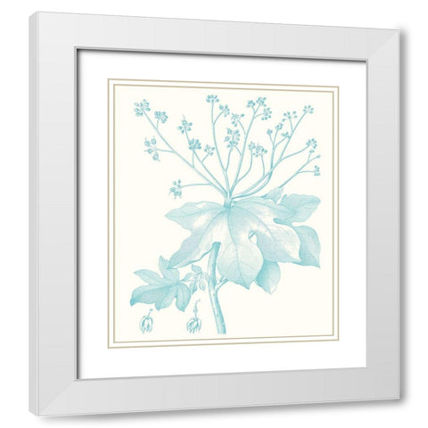 Botanical Study in Spa I White Modern Wood Framed Art Print with Double Matting by Vision Studio