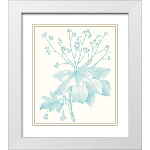 Botanical Study in Spa I White Modern Wood Framed Art Print with Double Matting by Vision Studio