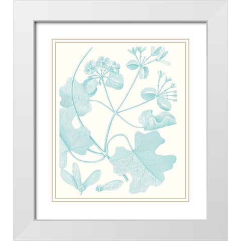 Botanical Study in Spa II White Modern Wood Framed Art Print with Double Matting by Vision Studio