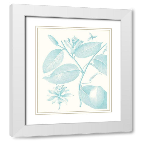 Botanical Study in Spa III White Modern Wood Framed Art Print with Double Matting by Vision Studio