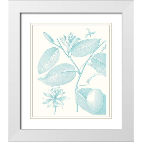 Botanical Study in Spa III White Modern Wood Framed Art Print with Double Matting by Vision Studio