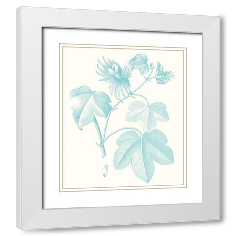 Botanical Study in Spa IV White Modern Wood Framed Art Print with Double Matting by Vision Studio