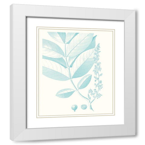 Botanical Study in Spa VI White Modern Wood Framed Art Print with Double Matting by Vision Studio