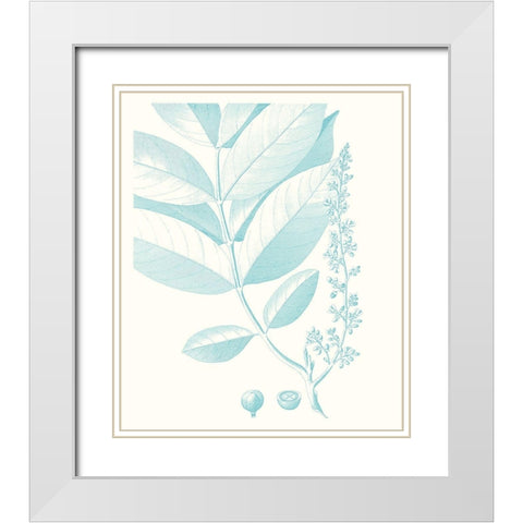 Botanical Study in Spa VI White Modern Wood Framed Art Print with Double Matting by Vision Studio