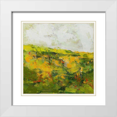 Doncaster White Modern Wood Framed Art Print with Double Matting by Friedlander, Allan