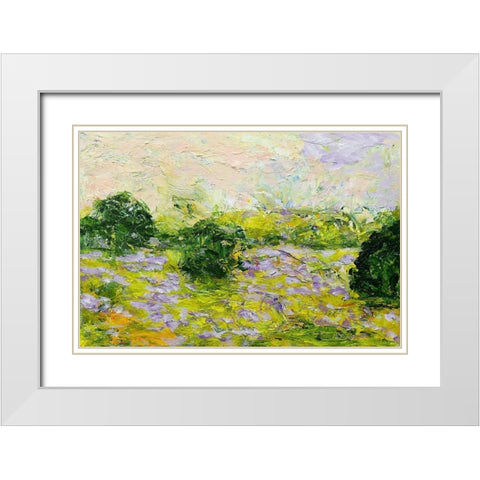 Leicester White Modern Wood Framed Art Print with Double Matting by Friedlander, Allan
