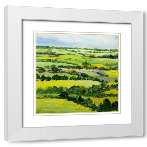 Brightwalton Green White Modern Wood Framed Art Print with Double Matting by Friedlander, Allan