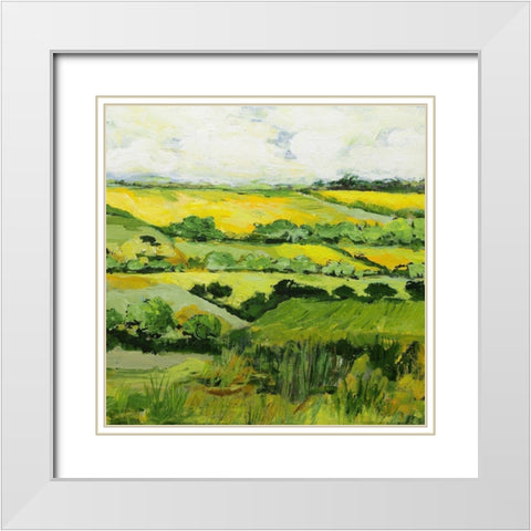 Woolton White Modern Wood Framed Art Print with Double Matting by Friedlander, Allan