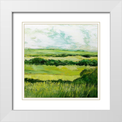 Stockbridge White Modern Wood Framed Art Print with Double Matting by Friedlander, Allan
