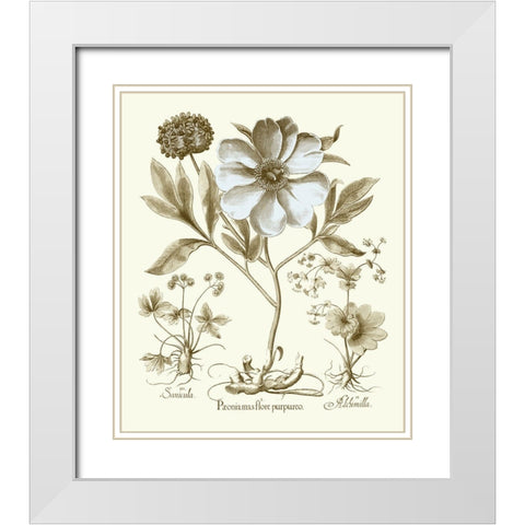 Spa Peonies II White Modern Wood Framed Art Print with Double Matting by Besler, Basilius