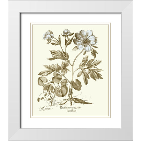 Spa Peonies III White Modern Wood Framed Art Print with Double Matting by Besler, Basilius