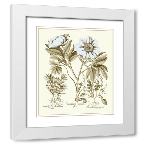 Spa Peonies IV White Modern Wood Framed Art Print with Double Matting by Besler, Basilius