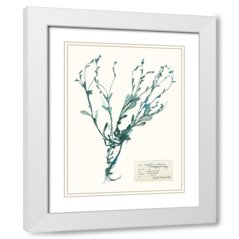 Pressed Flowers in Spa II White Modern Wood Framed Art Print with Double Matting by Vision Studio