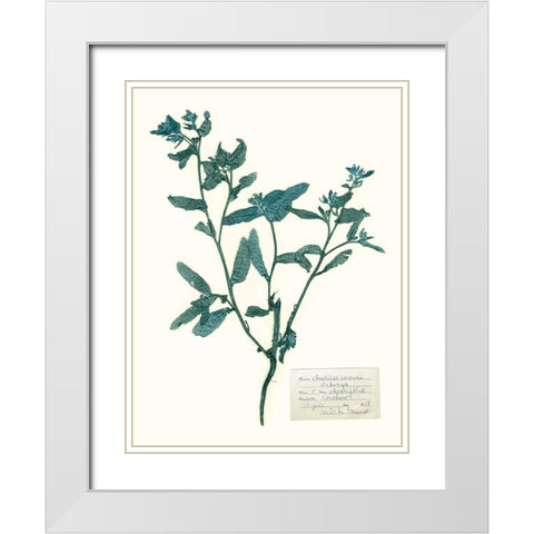 Pressed Flowers in Spa III White Modern Wood Framed Art Print with Double Matting by Vision Studio