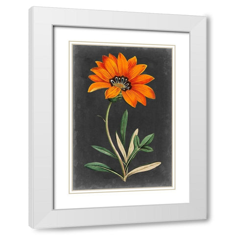 Dramatic Floral I White Modern Wood Framed Art Print with Double Matting by Curtis