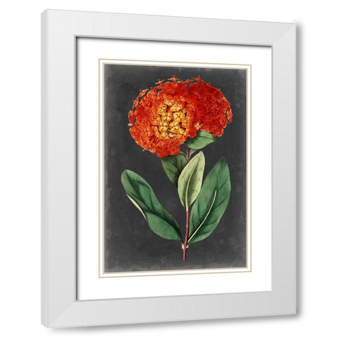 Dramatic Floral II White Modern Wood Framed Art Print with Double Matting by Curtis