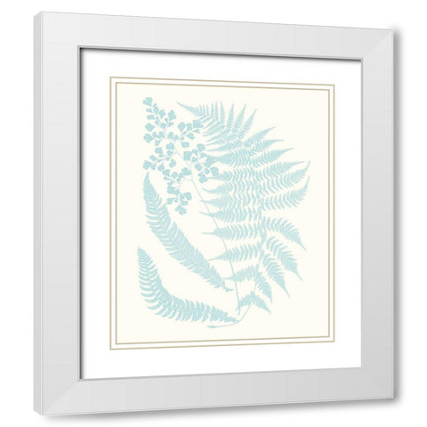 Serene Ferns II White Modern Wood Framed Art Print with Double Matting by Vision Studio