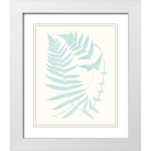 Serene Ferns III White Modern Wood Framed Art Print with Double Matting by Vision Studio