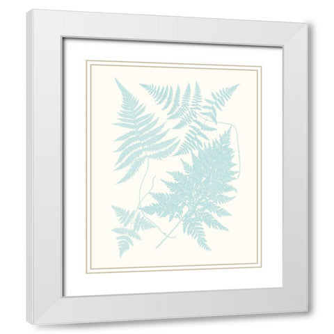 Serene Ferns IV White Modern Wood Framed Art Print with Double Matting by Vision Studio