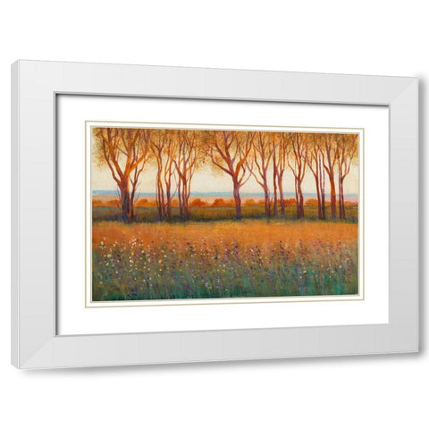 Glow in the Afternoon I White Modern Wood Framed Art Print with Double Matting by OToole, Tim
