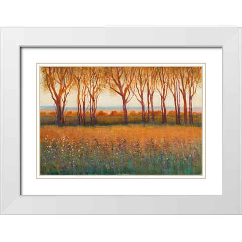Glow in the Afternoon I White Modern Wood Framed Art Print with Double Matting by OToole, Tim