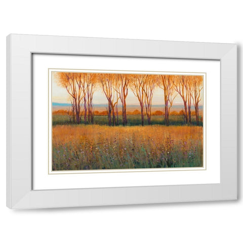 Glow in the Afternoon II White Modern Wood Framed Art Print with Double Matting by OToole, Tim