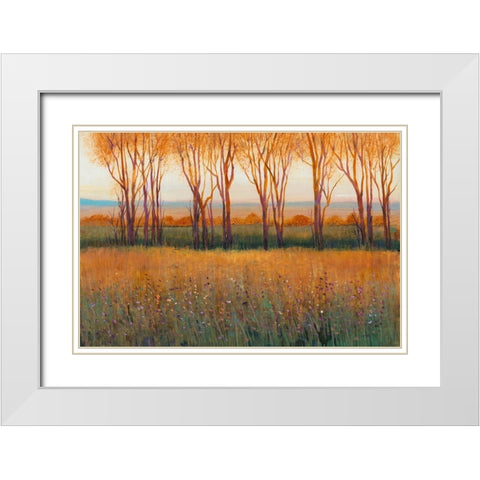 Glow in the Afternoon II White Modern Wood Framed Art Print with Double Matting by OToole, Tim