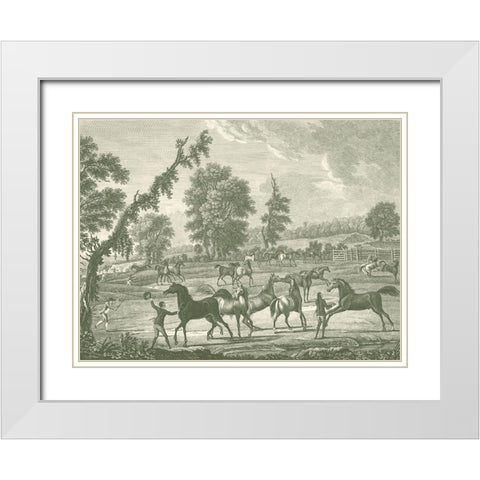 Equestrian Scenes III White Modern Wood Framed Art Print with Double Matting by Vision Studio