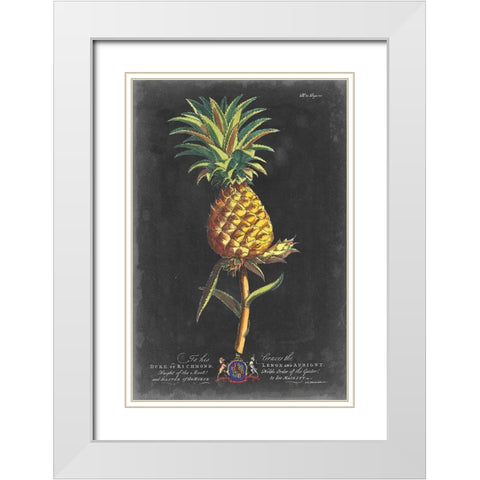 Dramatic Royal Botanical II White Modern Wood Framed Art Print with Double Matting by Ehret, George