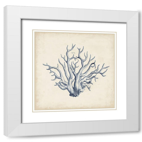 Coral Trio in Indigo II White Modern Wood Framed Art Print with Double Matting by Vision Studio