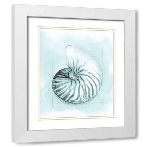 Coastal Shell Schematic II White Modern Wood Framed Art Print with Double Matting by Meagher, Megan