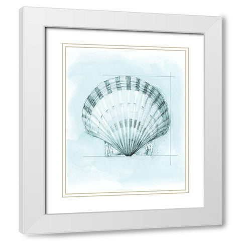 Coastal Shell Schematic III White Modern Wood Framed Art Print with Double Matting by Meagher, Megan
