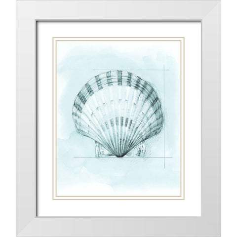 Coastal Shell Schematic III White Modern Wood Framed Art Print with Double Matting by Meagher, Megan