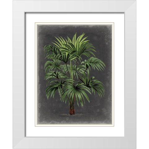 Dramatic Palm I White Modern Wood Framed Art Print with Double Matting by Vision Studio