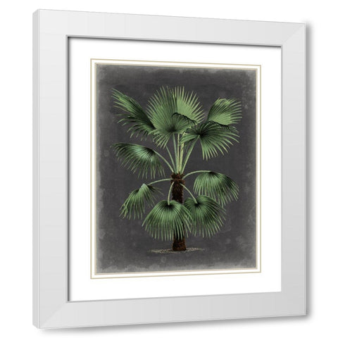 Dramatic Palm II White Modern Wood Framed Art Print with Double Matting by Vision Studio