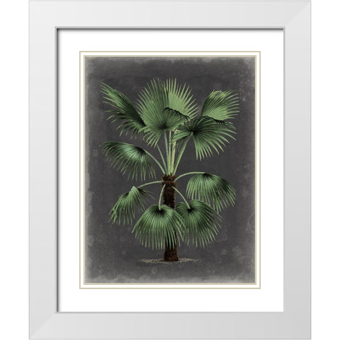 Dramatic Palm II White Modern Wood Framed Art Print with Double Matting by Vision Studio