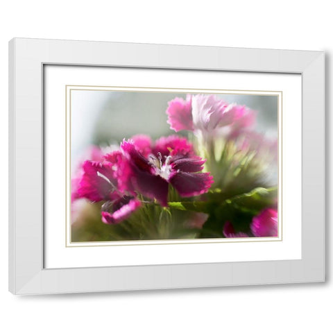 Glorious in Red VII White Modern Wood Framed Art Print with Double Matting by Hunt, Gillian