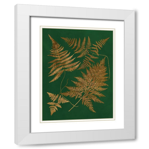 Gilded Ferns II White Modern Wood Framed Art Print with Double Matting by Vision Studio