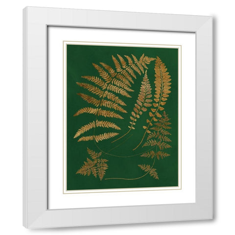 Gilded Ferns III White Modern Wood Framed Art Print with Double Matting by Vision Studio