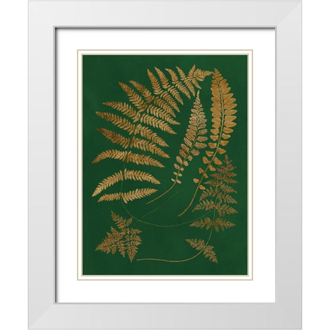 Gilded Ferns III White Modern Wood Framed Art Print with Double Matting by Vision Studio