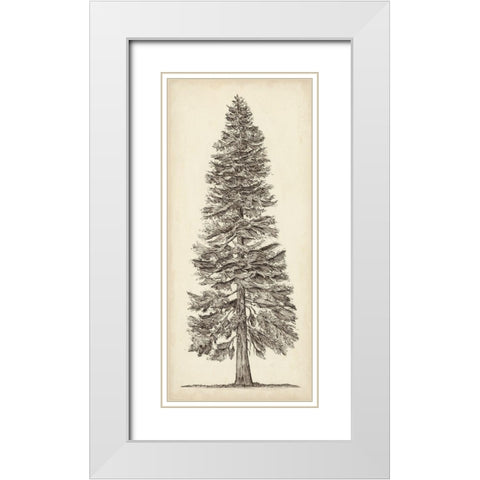 Pacific Northwest Tree Sketch I White Modern Wood Framed Art Print with Double Matting by Wang, Melissa