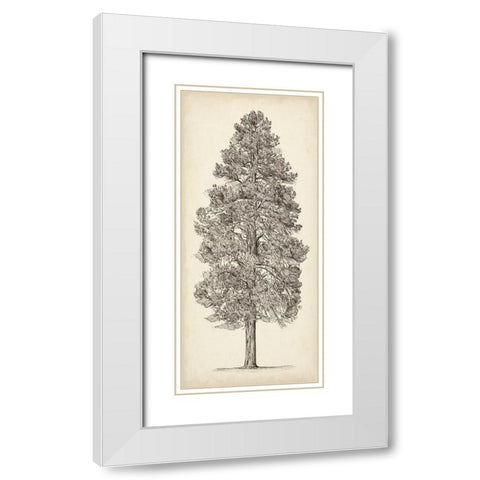 Pacific Northwest Tree Sketch III White Modern Wood Framed Art Print with Double Matting by Wang, Melissa