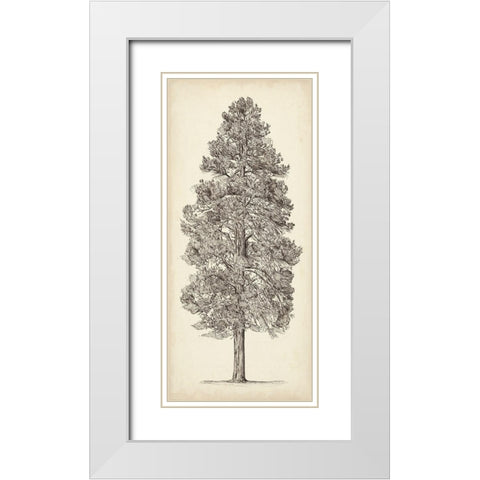 Pacific Northwest Tree Sketch III White Modern Wood Framed Art Print with Double Matting by Wang, Melissa