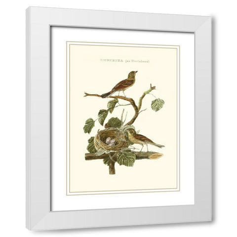 Nozeman Common Teal Nest White Modern Wood Framed Art Print with Double Matting by Nozeman