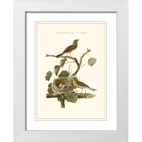 Nozeman Common Teal Nest White Modern Wood Framed Art Print with Double Matting by Nozeman