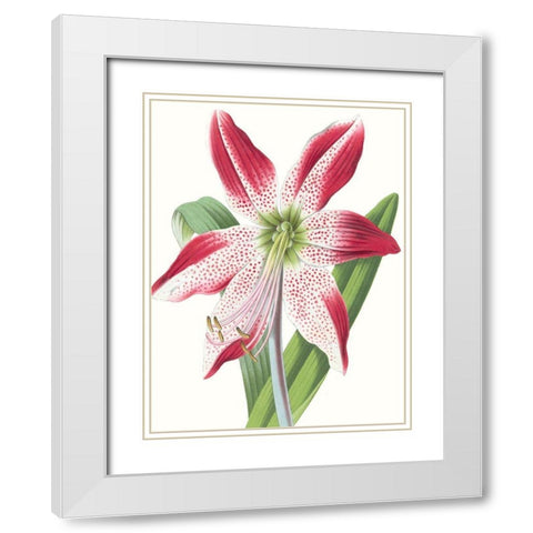 Floral Beauty II White Modern Wood Framed Art Print with Double Matting by Vision Studio