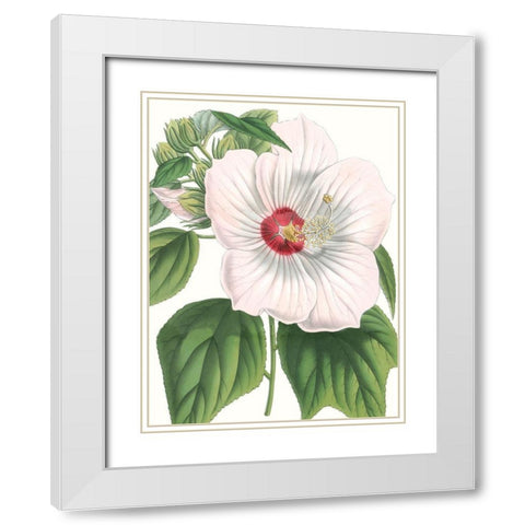 Floral Beauty IV White Modern Wood Framed Art Print with Double Matting by Vision Studio